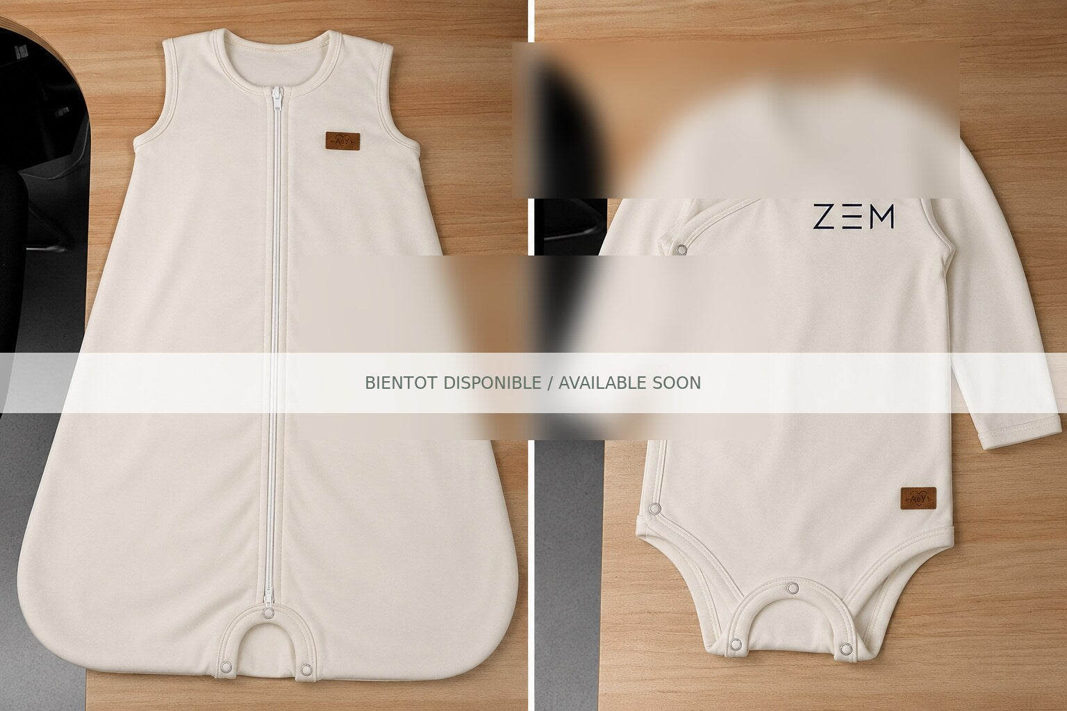 ZEM — Prototype brouillé 1