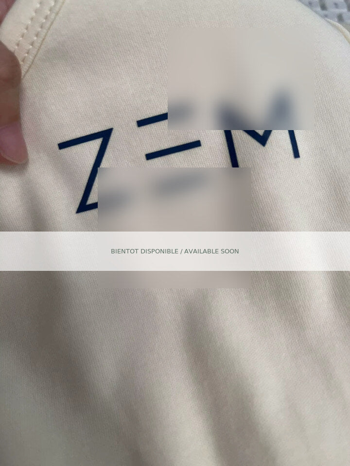 ZEM — Prototype brouillé 5