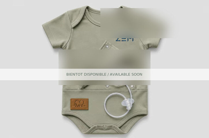 ZEM — Prototype brouillé 9