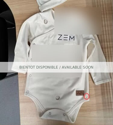 ZEM — Prototype brouillé 10